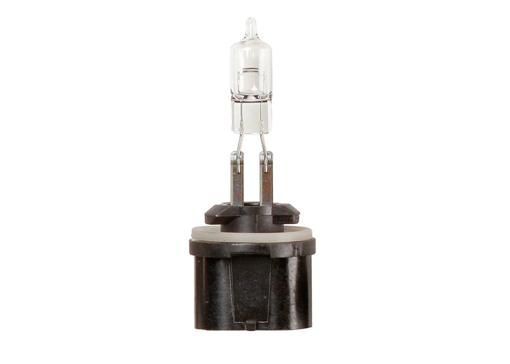 Picture of Bulb 12V PG13  50Watt
