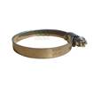 Picture of Hose Clamp Torro  40-60mm  9mm Band W1