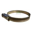 Picture of Hose Clamp Torro  40-60mm  9mm Band W1