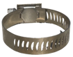 Picture of Hose Clamp GSS 20  19-44mm 12mm Band Stainless